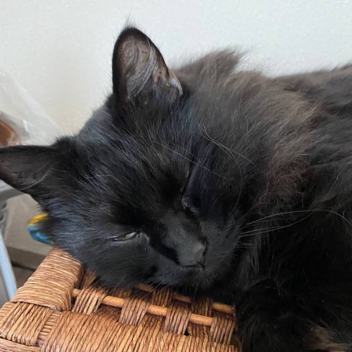 7f4c0eae 301c 425b 98c6 8eeee1048543 1577108951454