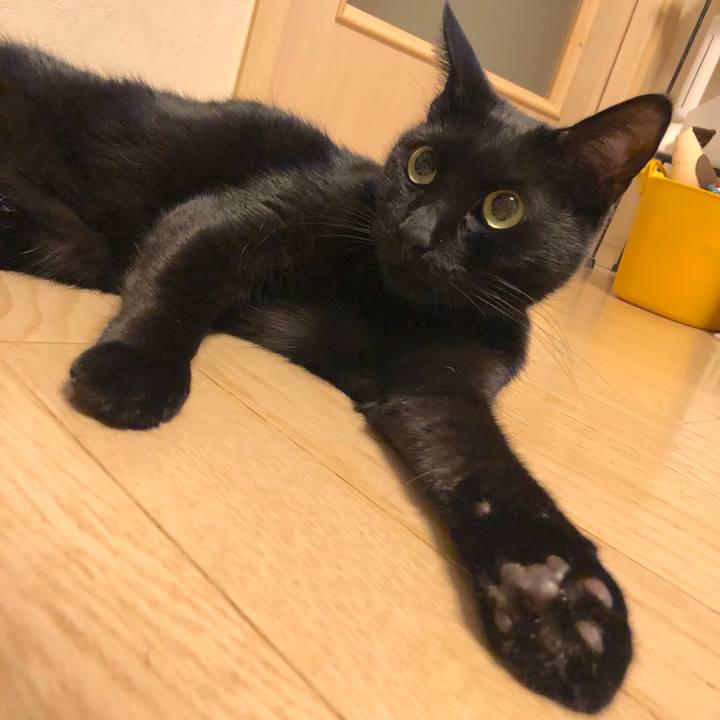 7f4c0f08 1210 47e2 ae66 30e8428cf5ca 1546080097377