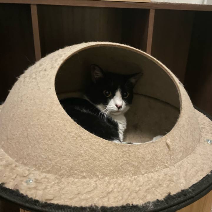 7f4c31d8 a18e 4937 837c a23c2fda8b12 1716745245654