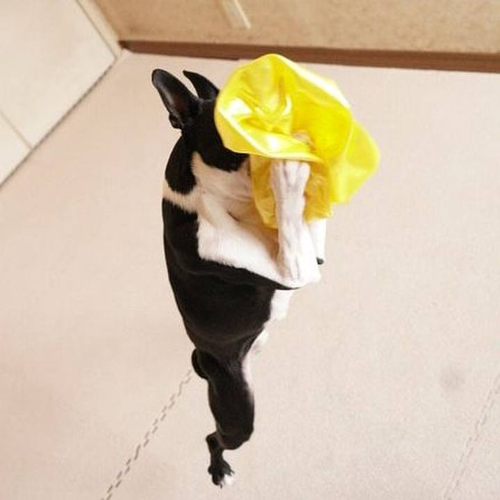 7f4c4f7e a892 4733 aa77 1f7c6731dbeb 1550233422208