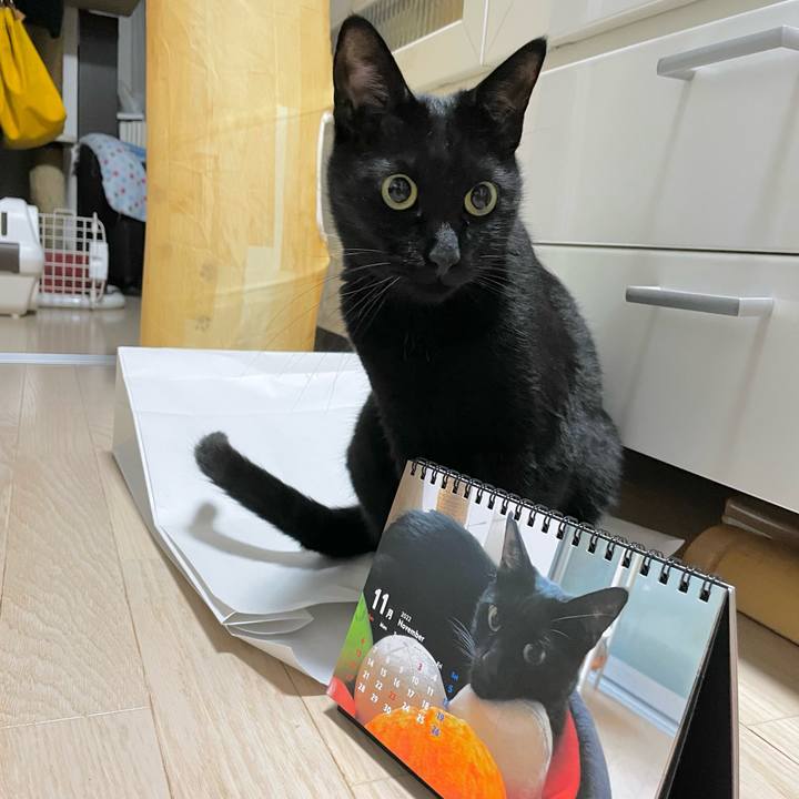 7f4c6830 3c10 4068 9341 4520d11b5625 1669640392651