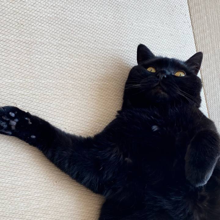 7f4c7389 2885 43cb 8a55 a48d5c8a18e0 1774682669837