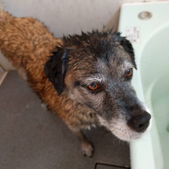 7f4ca30b adfe 428a bd6d 82f6f8e35157 1747875589782