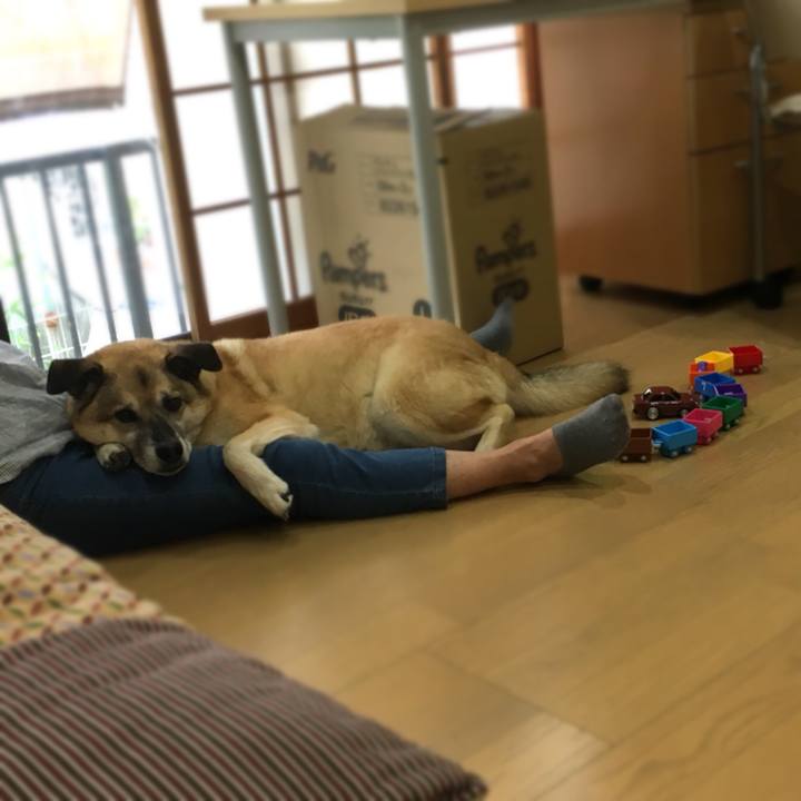 7f4ca860 d290 40a0 bf77 16241c20beba 1528878472773