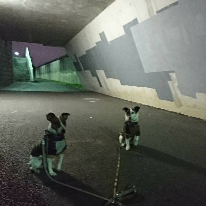 7f4cac91 7279 47a2 a47d 28103bc01e5a 1583238499530