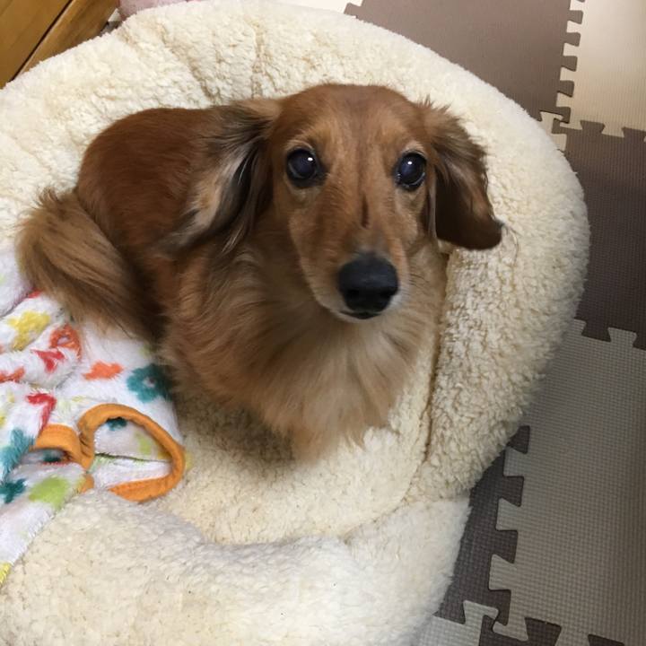 7f4cbc3e 8287 4825 b78e 8e23fa123e8a 1543238029067