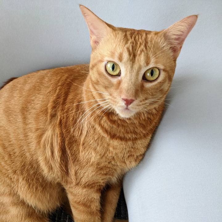 7f4cd908 5934 45af 8913 ba89c011092e 1660262236490