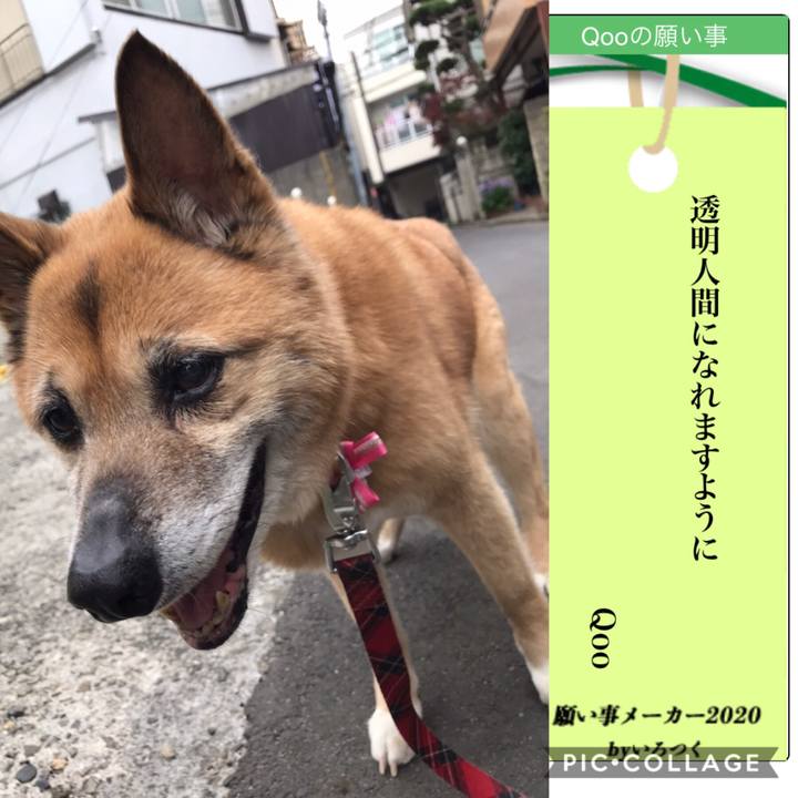 7f4d0a1a 72ae 401a 8a53 1e82024f4723 1594117113779