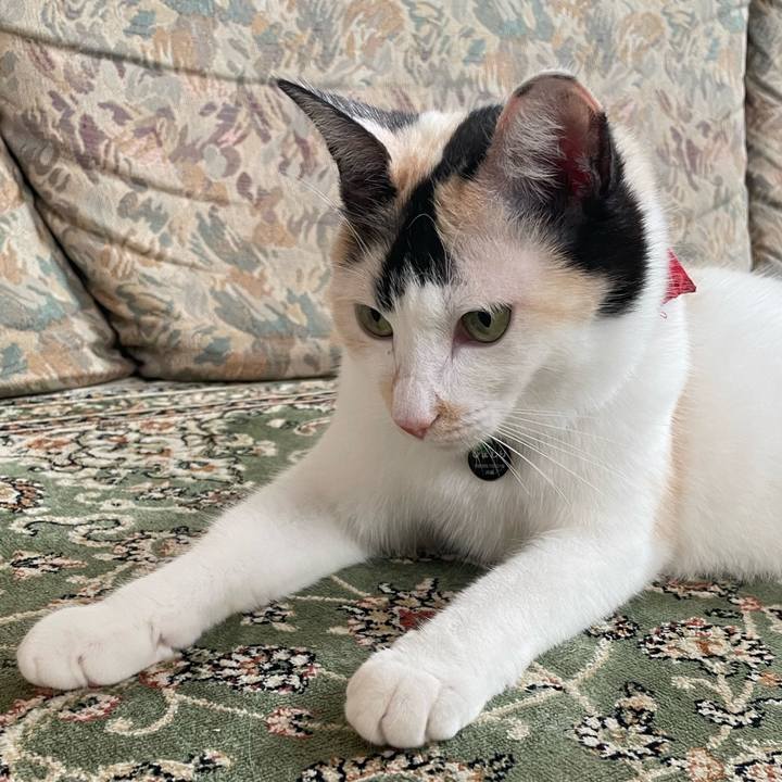 7f4d554a 9c6b 40de 9f2f ff608e6c65d1 1725746887275