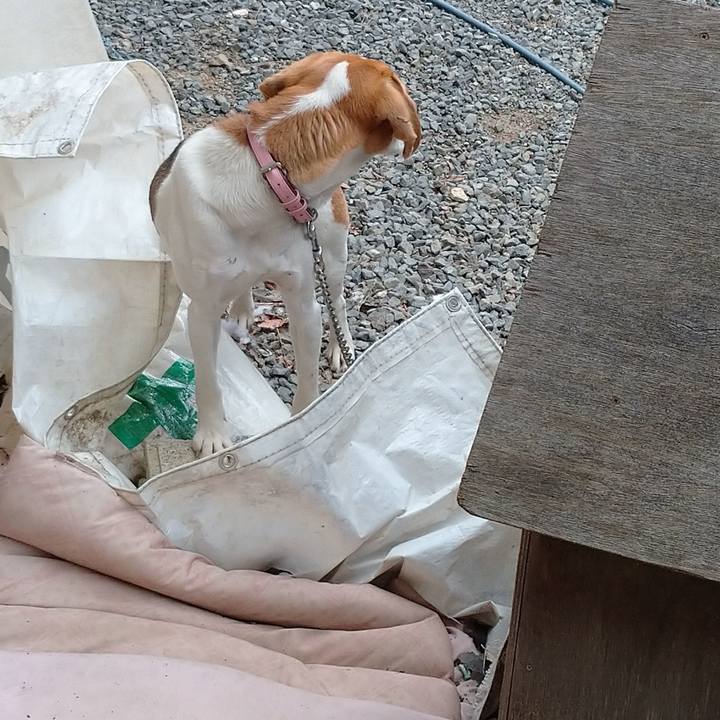 7f4d6615 b607 40ec 9e61 e7950a41af6f 1582877983561