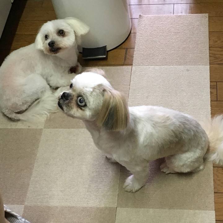 7f4d82c1 c755 438c a9fa 4e4f5c121091 1628324806506