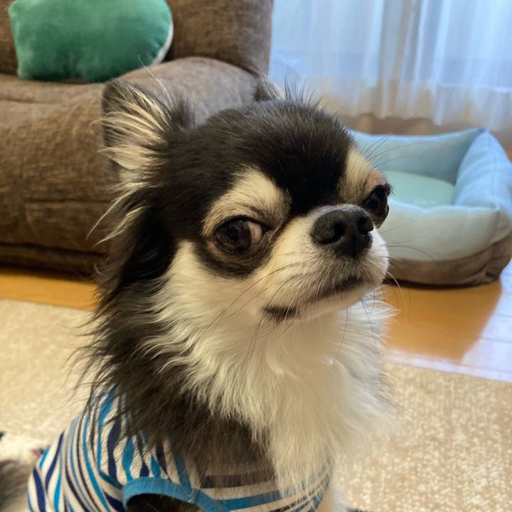 7f4db779 fe2d 47ea 89c5 54427aaeb303 1690644061989