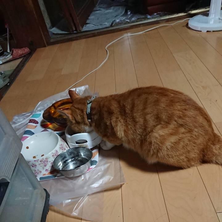 7f4df0eb 4644 4508 92d3 00435629925e 1597005902670