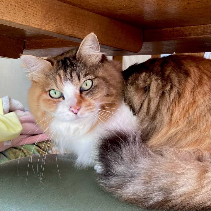 7f4e01c5 1f1f 404d 8826 bf73cdf14906 1677223208838