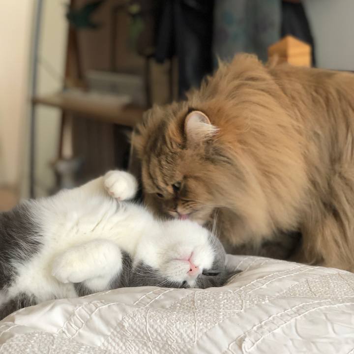 7f4e1328 2faa 48ae b143 049e62019ee3 1516141911402