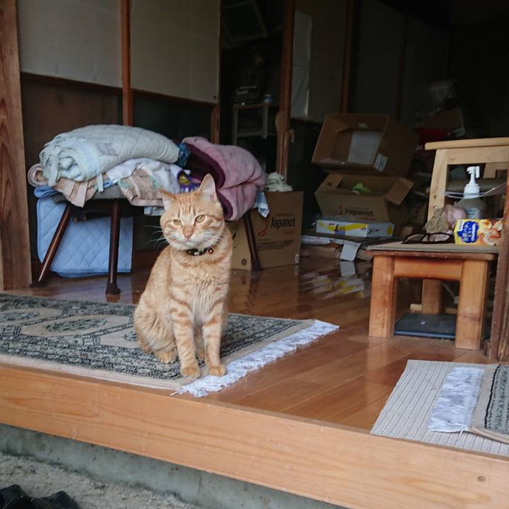 7f4e265b 9bae 42a1 ba9f 357cf2903877 1651829577553