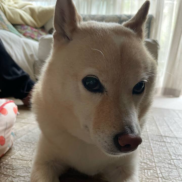 7f4e2b32 f4ff 4480 b9be 550730571e0f 1728175510105