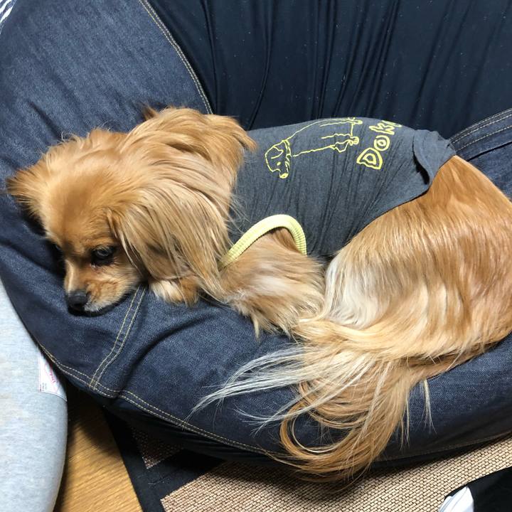 7f4e32d2 505c 48c1 b690 daf5cc57c7cc 1551485488328