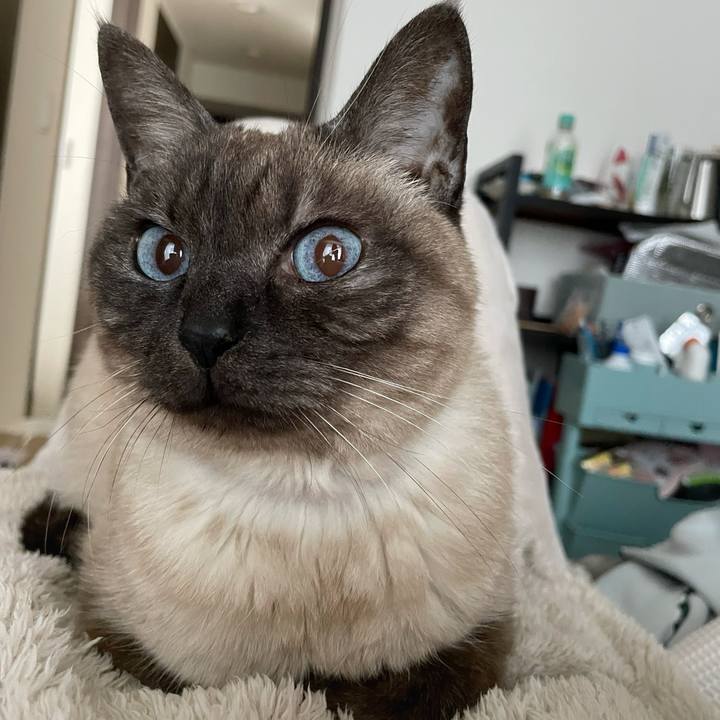 7f4e50e6 45ee 4bf0 b044 618bc6f60fc6 1774054962452