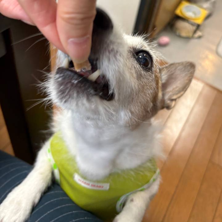 7f4e5cf7 3bf5 404e 871b eab74013fad0 1756422691917