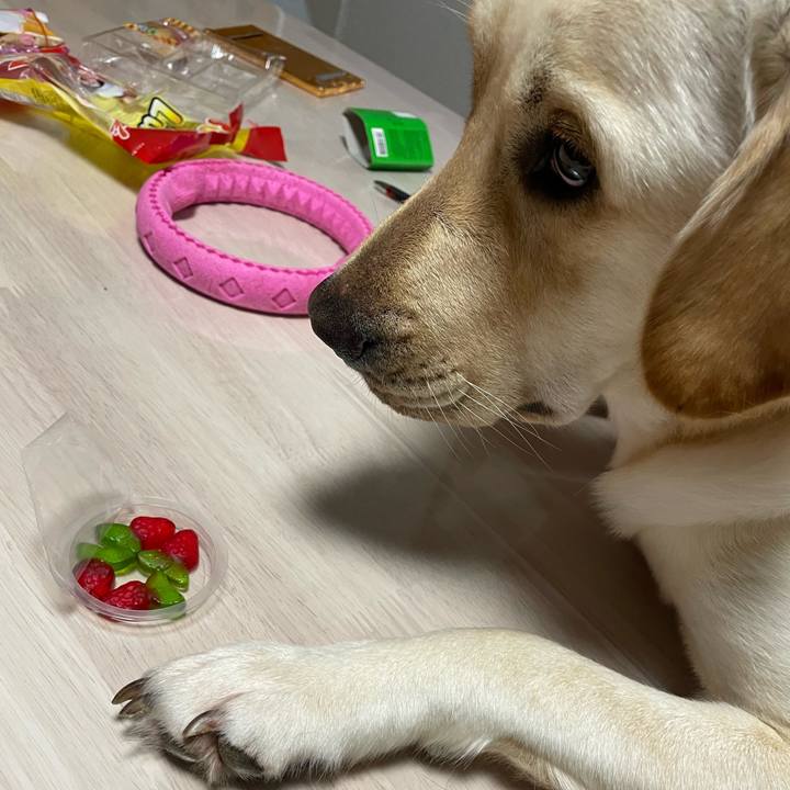 7f4e714a 3fb9 45fb a9b3 0c62a9cabef7 1657498289870