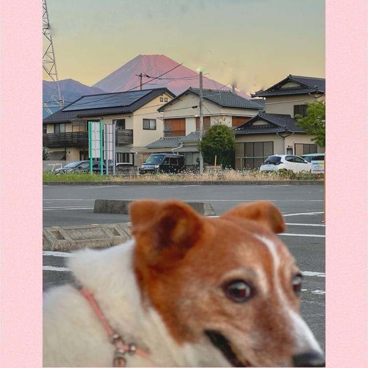 7f4e7b38 165e 4eb1 8871 93331dd4dab8 1728943395781