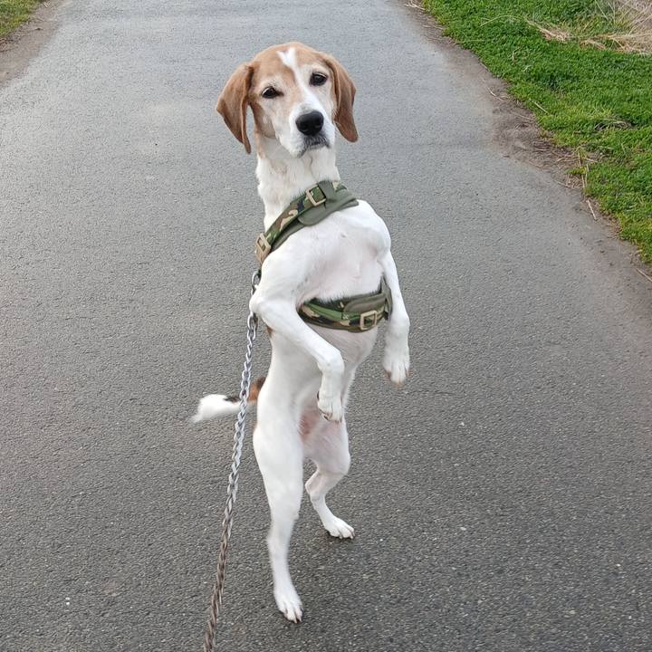 7f4ea268 6a1f 4158 adfb c5f54e3fad8b 1766573719180