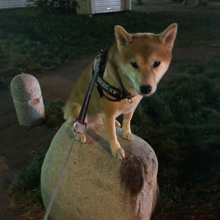 7f4ea2c3 316d 4892 98d5 eca4aa5241b2 1537876208530