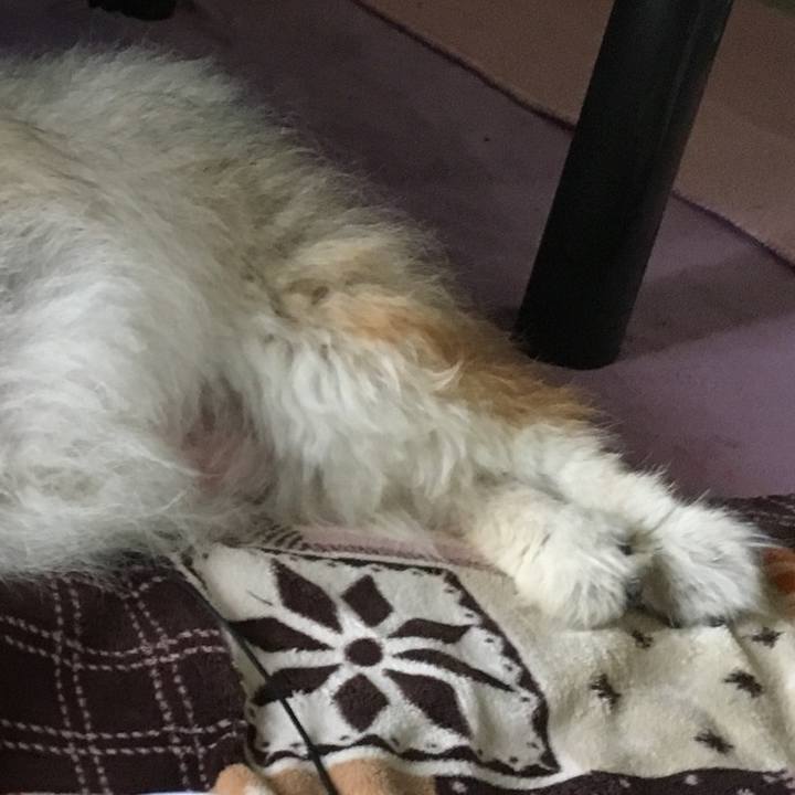 7f4f44e8 002c 4483 87f4 28ac72c6bdd3 1627315159243