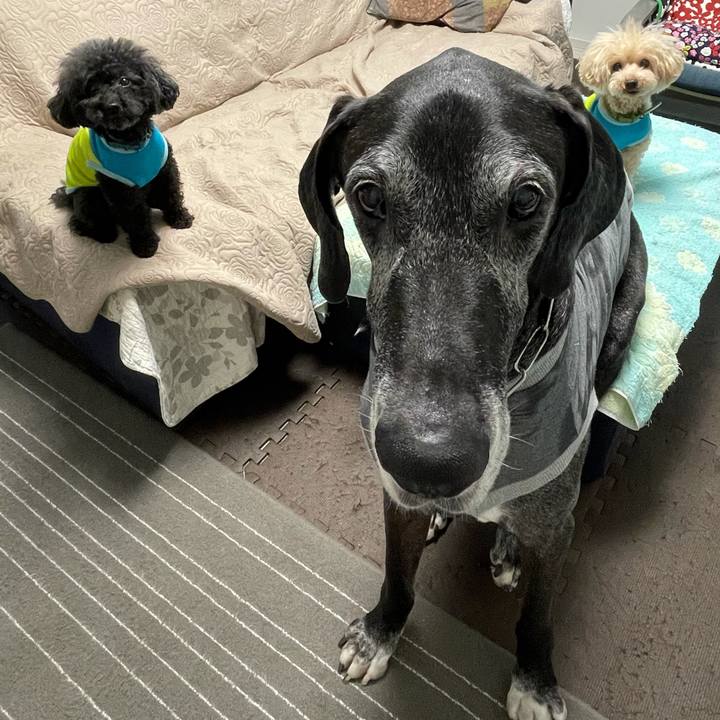 7f4f5bd5 64bc 473c ae93 9ef0e8d3bdb8 1621550813228