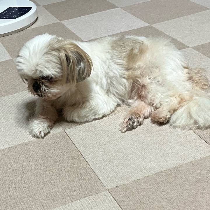 7f4f85ac 2224 4d11 aa83 b19d4ee34939 1664193903429