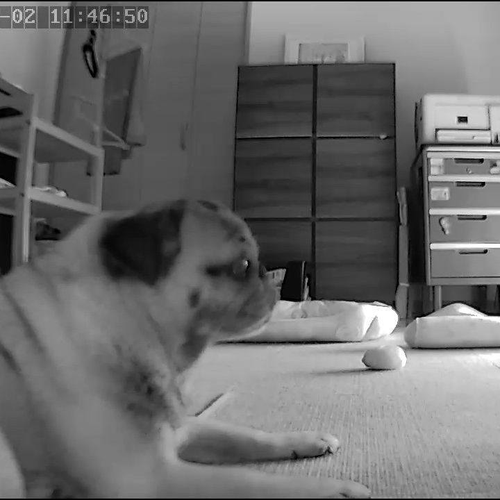 7f4f925e 15ac 4681 a1d9 33481c5063af 1788603380421