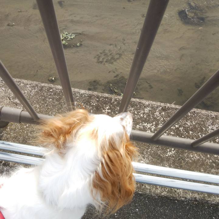 7f4fc5a4 f39d 4a8d b734 ce7ab07cd226 1534073985289