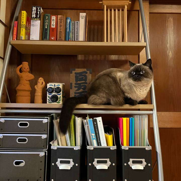 7f4fd2b2 0562 4c30 b5a3 9f8123ddb9f0 1639395926435