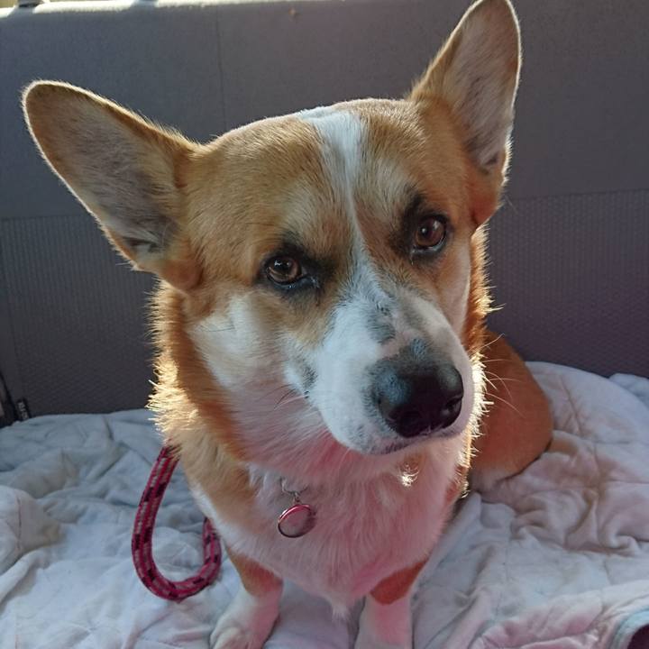 7f4fea19 53c5 41a7 8b6f 248ccb66a742 1612062129305