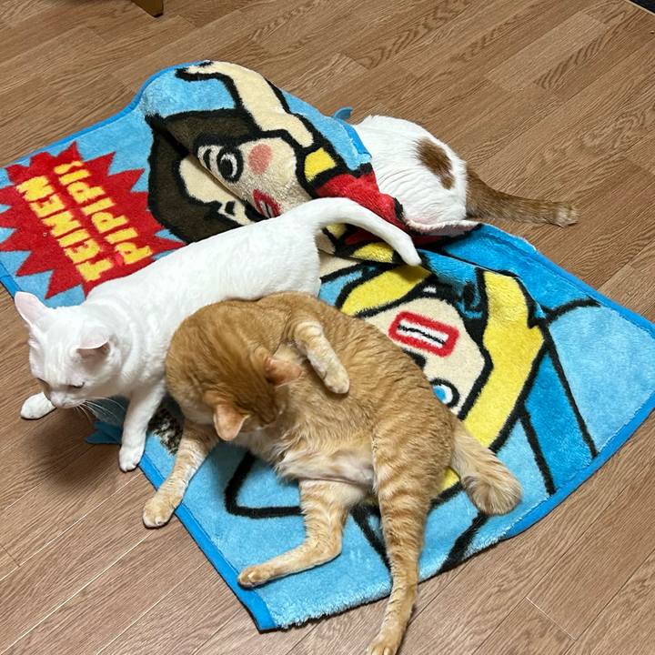 7f50238f 95cc 4c6a a9c5 b951f079e087 1678483735823