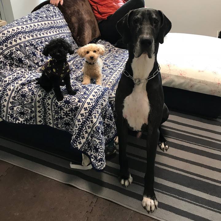 7f50713b 21cd 4c80 8a77 1d3ff018ce48 1519054249943