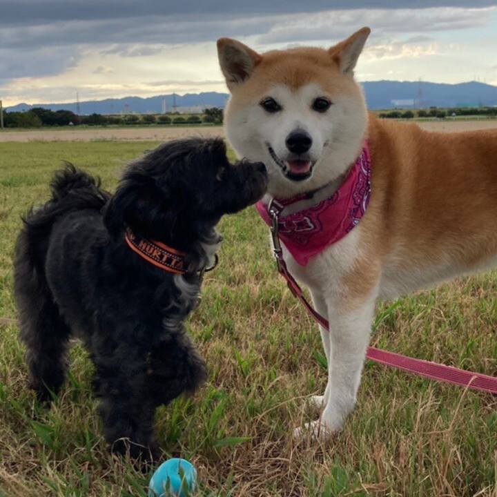 7f5096b4 5d6a 4209 8047 a79403965ddc 1628657447393