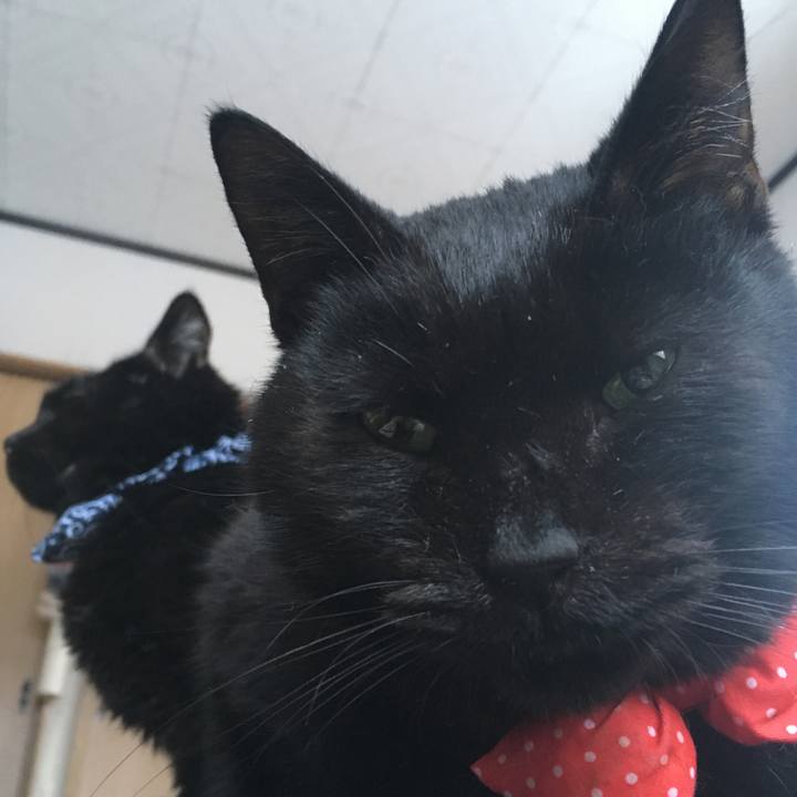 7f50a2c2 2e4f 43aa b1da 20599d84bec8 1550914053452