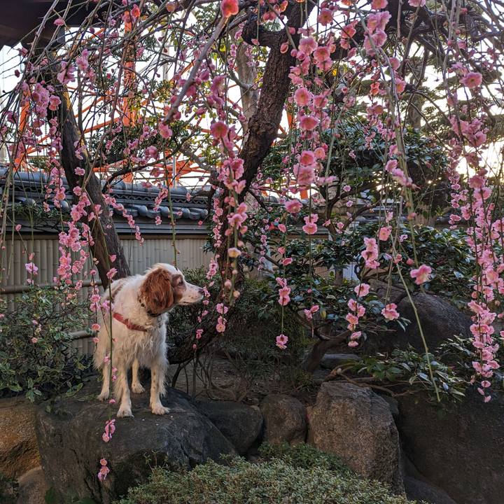 7f50cef1 35db 4655 a565 3f258d53d947 1678016469248