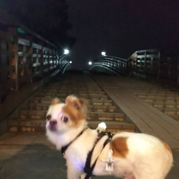 7f50d860 6e4e 446a aa75 39f429f9a061 1596299356482