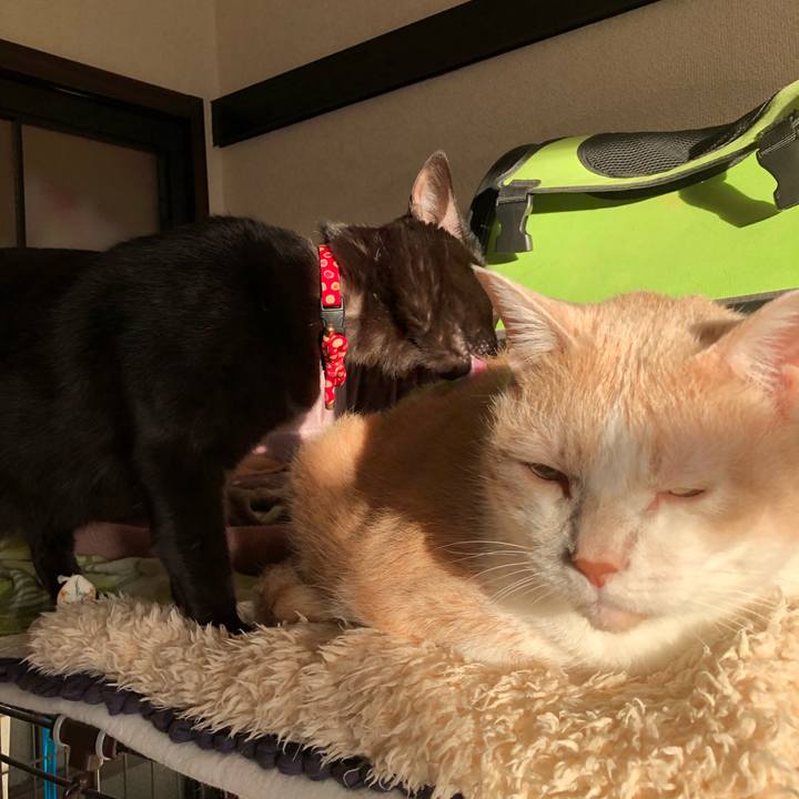 7f50d983 b878 436a 9563 61f75851e347 1608158947232