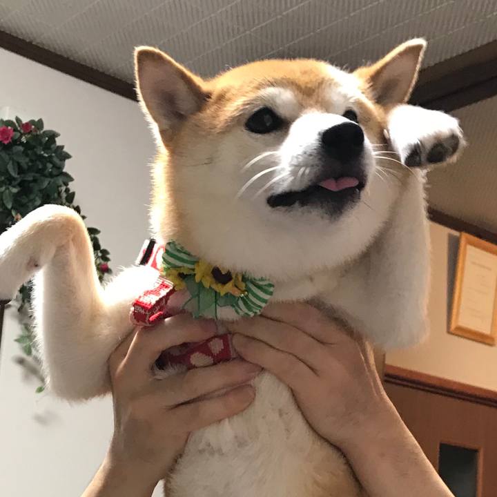 7f511f90 92e1 4e8f 9929 69f45701425b 1566214105569