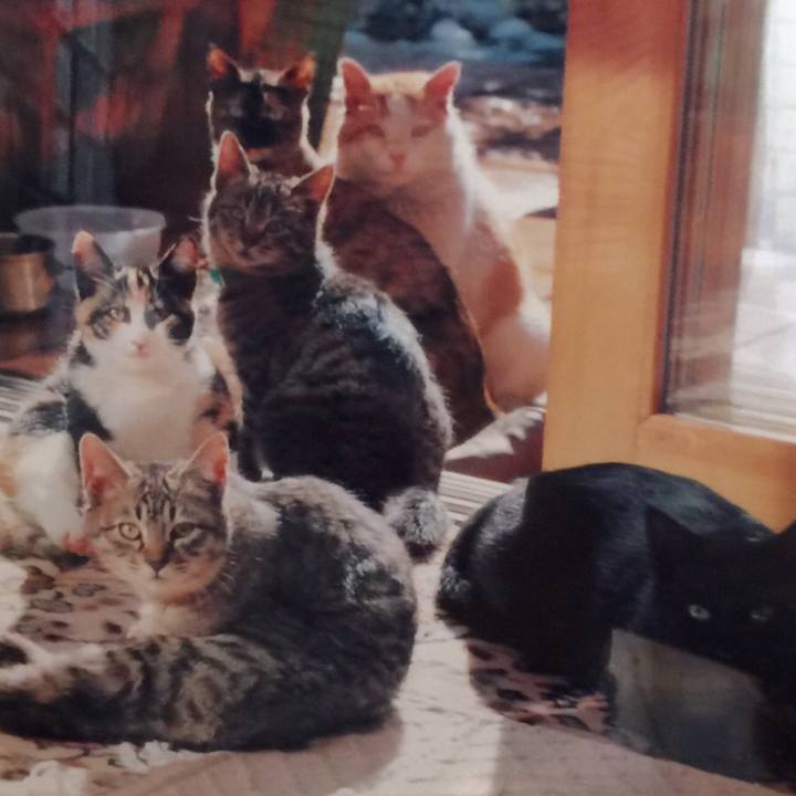 7f512a53 89f7 4682 a92e 043ba1f84407 1508475523267