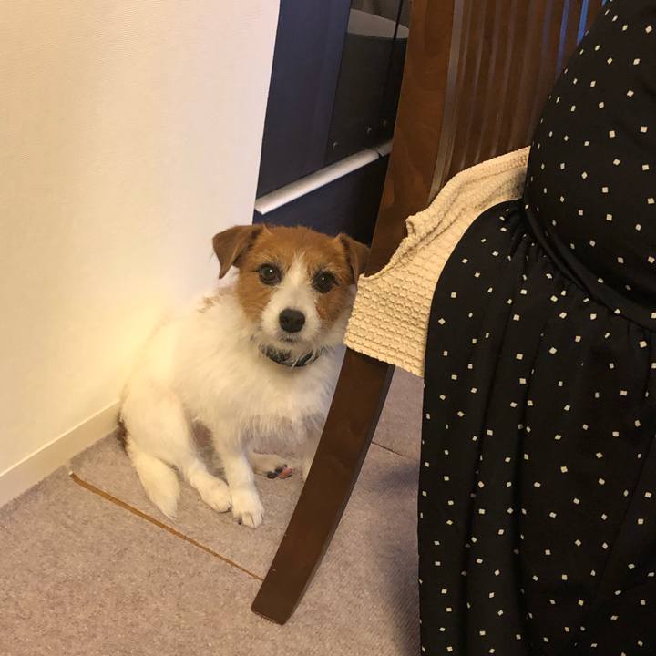 7f516671 16ef 4958 ac1a 124f7508769c 1577613311180