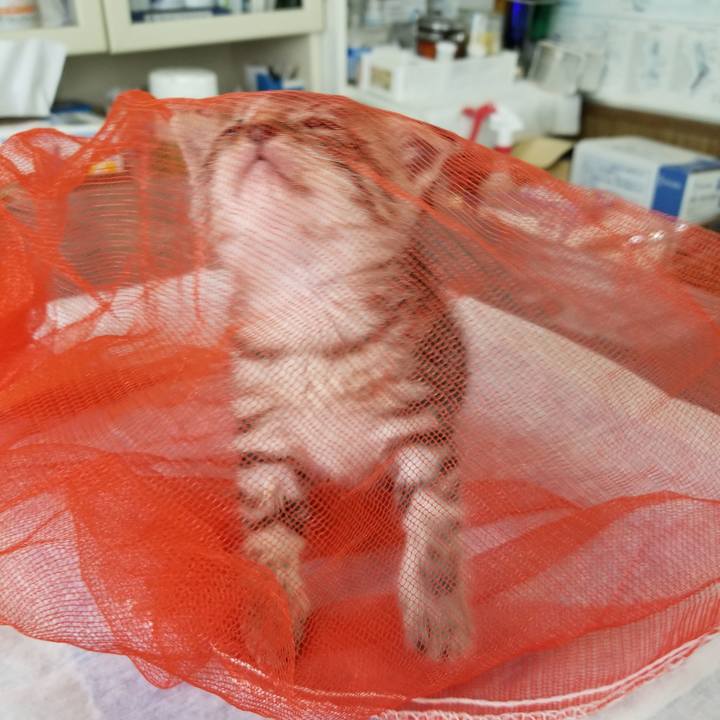 7f517b83 7d7d 4a46 a7c5 15c8bdd02e5a 1660174341061