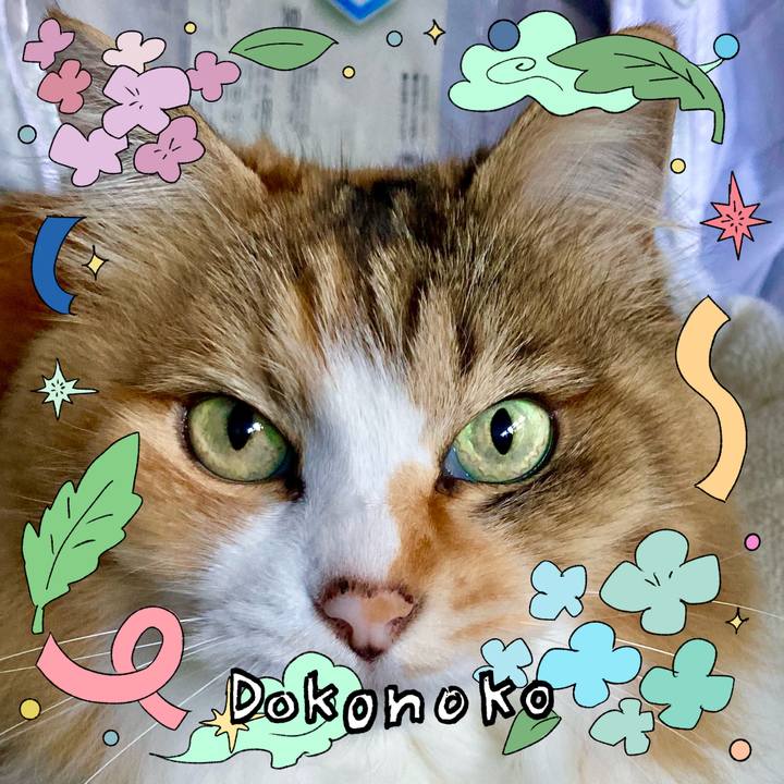 7f5183ae 7f7f 4bc7 b497 fa741a37702e 1718006623648