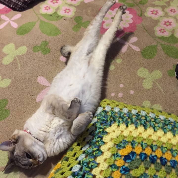 7f51ecfa a996 46a4 8594 0de541ebed65 1552820096923