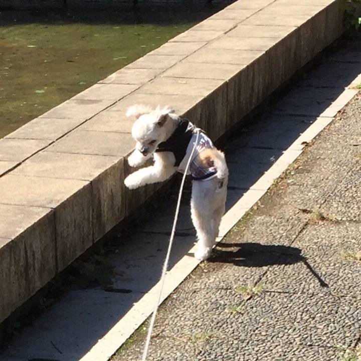 7f52102e 2c82 4340 a60e 29be66361a6b 1538895657715