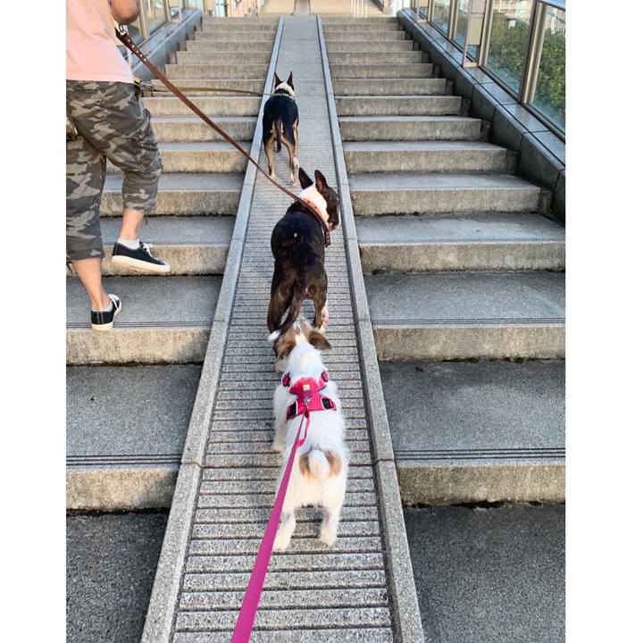 7f522c30 6622 4b1e 886c 55fc1cde7530 1571003924486